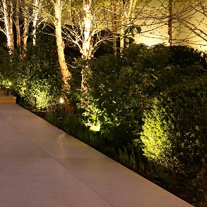 Garden Lighting